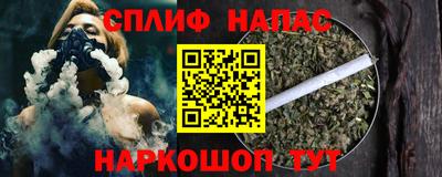 гашик Нальчик