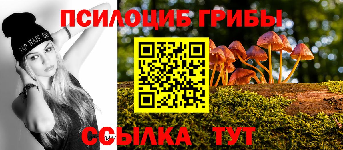 Галлюциногенные грибы GOLDEN TEACHER Тихвин
